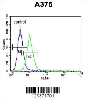 CS Antibody