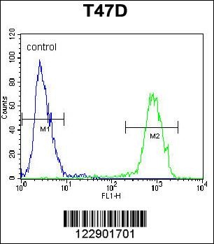 PENK Antibody