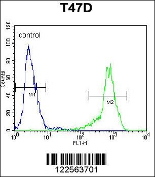 SIAH2 Antibody