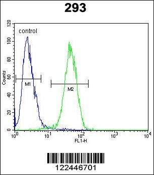 CLDN12 Antibody