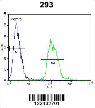 TAC1 Antibody