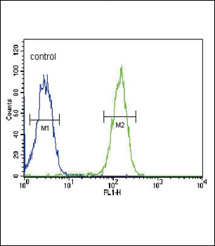 SLC9A3R1 Antibody