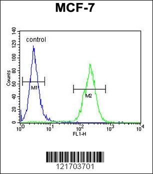 DNAJA1 Antibody