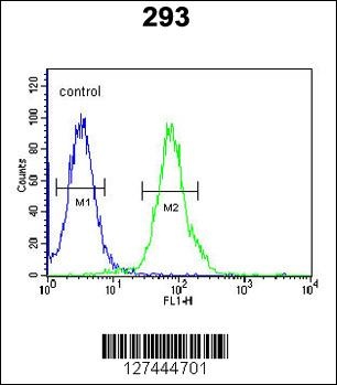 RTKN2 Antibody