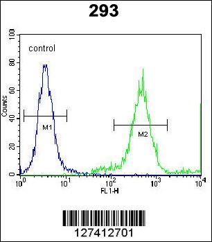 FAM26E Antibody