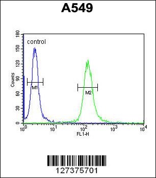 LOH12CR1 Antibody