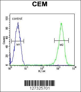 RCN3 Antibody