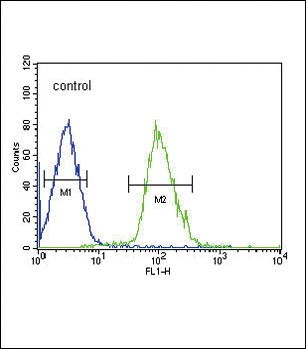 TUBB3 Antibody