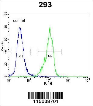 GAL Antibody