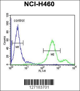 EBPL Antibody