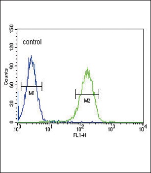 CACNA2D4 Antibody