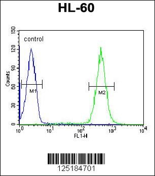 APOBEC2 Antibody