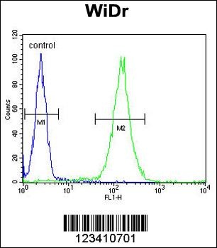 FBXO34 Antibody