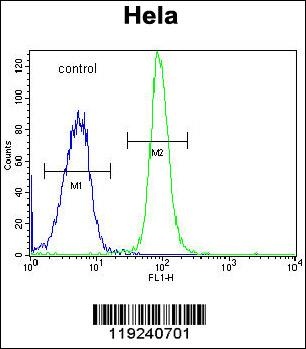 DONSON Antibody