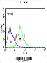 TRIM50 Antibody