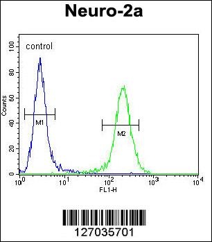 ZDHC2 Antibody