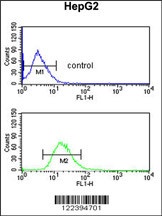 BLOC1S2 Antibody