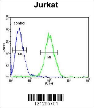 RPS3A Antibody