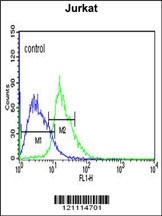 EHMT2 Antibody