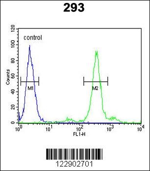 PGD Antibody