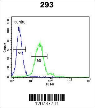 EPCAM Antibody