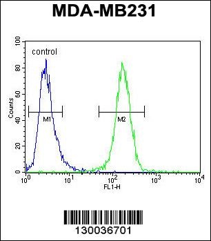 C4orf34 Antibody