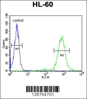 CD69 Antibody