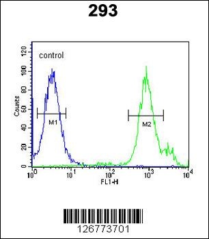 SLC9A9 Antibody