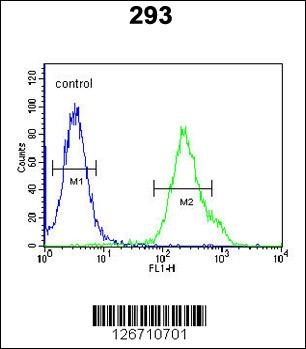 KCTD21 Antibody