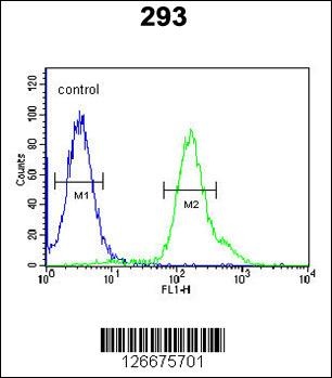 ARMC5 Antibody
