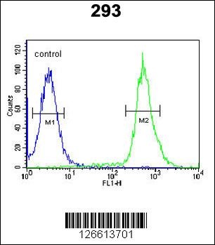 TAMM41 Antibody