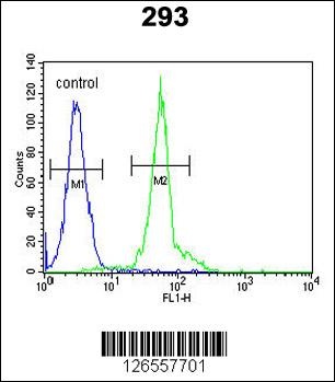 IFT172 Antibody