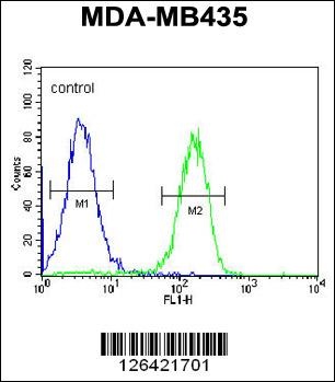 PYHIN1 Antibody