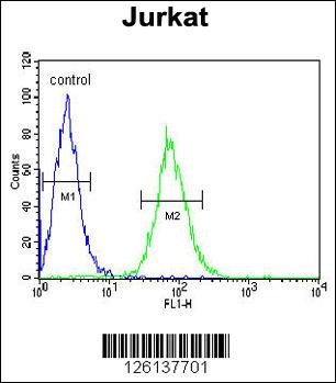 GGNBP2 Antibody