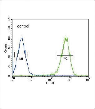 DLAT Antibody