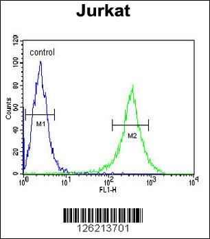 GNE Antibody