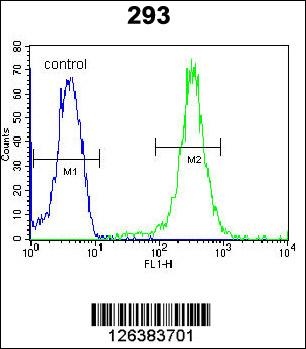 UBAC2 Antibody