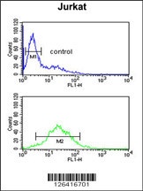 TPC6A Antibody