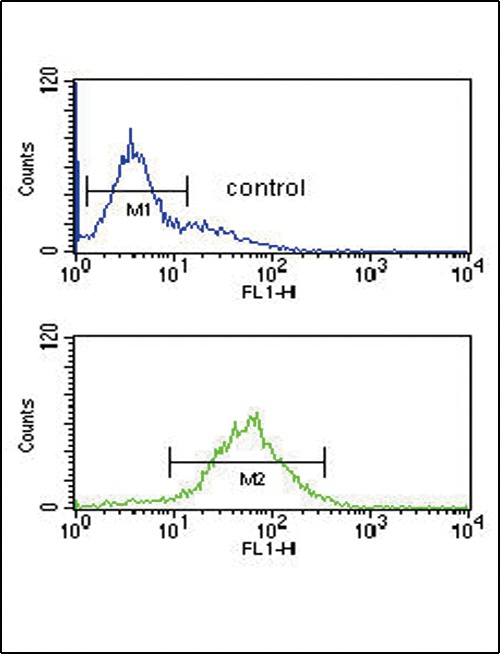 SRD5A3 Antibody