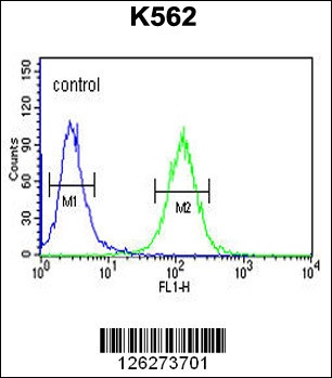 RTN4RL1 Antibody