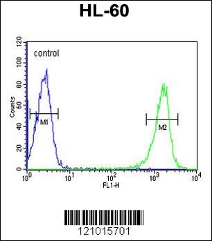 PSME1 Antibody