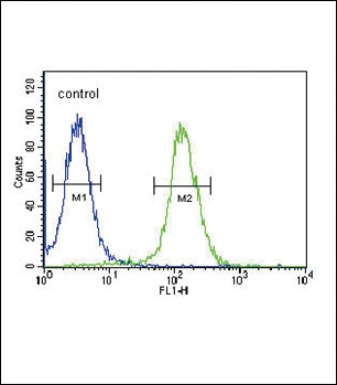 NPFF Antibody