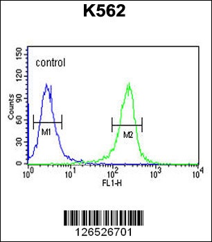 MTMR15 Antibody