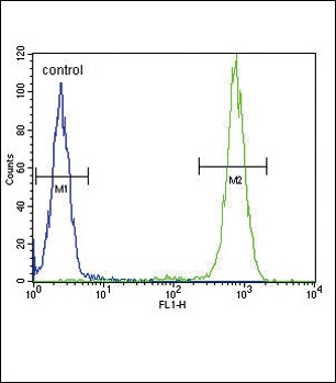 IL4 Antibody