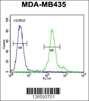 FBXL14 Antibody