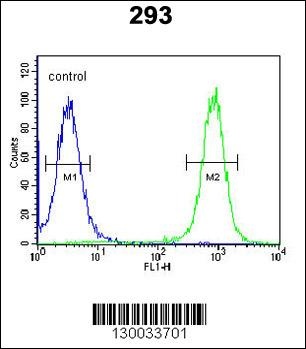 EPC2 Antibody