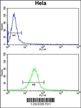 C2orf49 Antibody