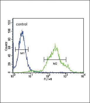 ZDHHC21 Antibody