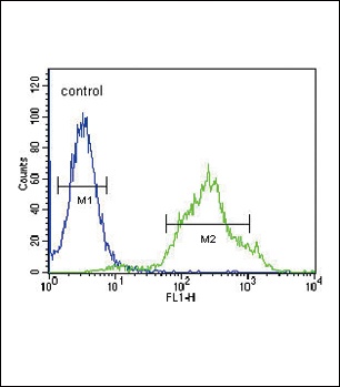 ZDHHC21 Antibody