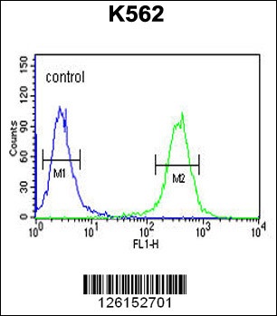 C3orf75 Antibody